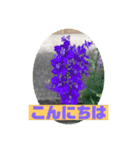 ふぉと（個別スタンプ：1）