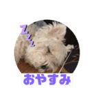 ふぉと（個別スタンプ：4）