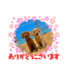 嵐！杏寿郎！柘榴！（個別スタンプ：1）
