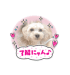 嵐！杏寿郎！柘榴！（個別スタンプ：2）