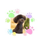嵐！杏寿郎！柘榴！（個別スタンプ：4）
