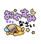 嵐！杏寿郎！柘榴！（個別スタンプ：6）