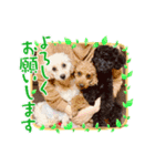 嵐！杏寿郎！柘榴！（個別スタンプ：7）