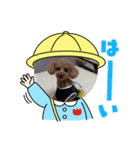 嵐！杏寿郎！柘榴！（個別スタンプ：8）