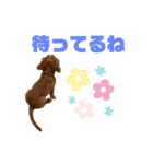 キャバリアのほく 〜子犬の日常編〜（個別スタンプ：7）