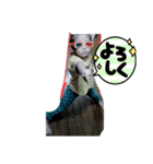 手書きスタンプww（個別スタンプ：1）