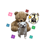 こたろーーーーーーー（個別スタンプ：8）