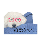 愛犬ぷぅ君の日常（個別スタンプ：9）