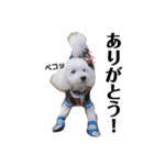 愛犬ぷぅ君の日常（個別スタンプ：15）