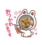 ハムスターももアクア（個別スタンプ：4）