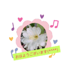 Minagi-igamachi-C（個別スタンプ：1）