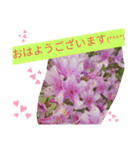 Minagi-igamachi-C（個別スタンプ：3）