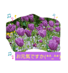 Minagi-igamachi-C（個別スタンプ：6）