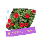 Minagi-igamachi-C（個別スタンプ：7）