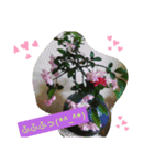 Minagi-igamachi-C（個別スタンプ：9）