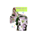 Minagi-igamachi-C（個別スタンプ：12）