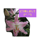 Minagi-igamachi-C（個別スタンプ：13）