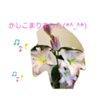 Minagi-igamachi-C（個別スタンプ：16）