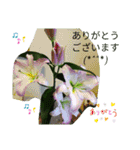 Minagi-igamachi-C（個別スタンプ：17）