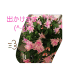 Minagi-igamachi-C（個別スタンプ：18）