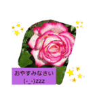 Minagi-igamachi-C（個別スタンプ：22）