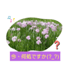 Minagi-igamachi-C（個別スタンプ：26）