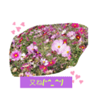 Minagi-igamachi-C（個別スタンプ：32）