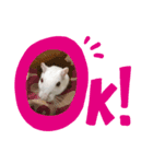 ソルキチです。（個別スタンプ：2）