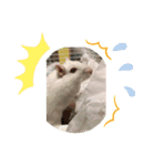 ソルキチです。（個別スタンプ：3）