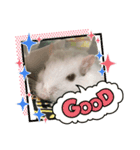 ソルキチです。（個別スタンプ：4）