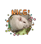 ソルキチです。（個別スタンプ：7）