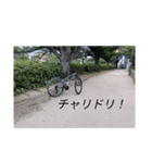 チャリドリ勢のスタンプ#2（個別スタンプ：1）