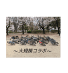 チャリドリ勢のスタンプ#2（個別スタンプ：13）