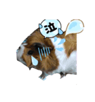 大阪府産です。（個別スタンプ：2）