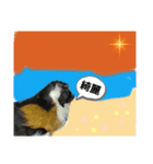 大阪府産です。（個別スタンプ：7）