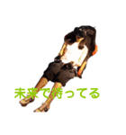 サラマンダーちゃソ（個別スタンプ：18）