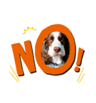 E.SPRINGERSPANIEL WOODS 2（個別スタンプ：14）