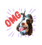 E.SPRINGERSPANIEL WOODS 2（個別スタンプ：20）