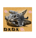 ハチワレ時々キジトラ2（個別スタンプ：5）