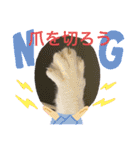 ハチワレ時々キジトラ2（個別スタンプ：36）