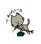 ねこの日常にゃん（個別スタンプ：5）