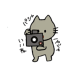 ねこの日常にゃん（個別スタンプ：13）