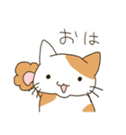 にゃーにゃー可愛い猫さん（個別スタンプ：1）