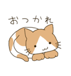 にゃーにゃー可愛い猫さん（個別スタンプ：3）