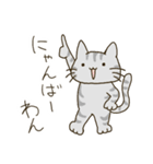 にゃーにゃー可愛い猫さん（個別スタンプ：17）