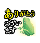 おたま日記〜カエルの感謝〜（個別スタンプ：9）