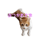 そら＆くぅ（個別スタンプ：7）