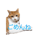 そら＆くぅ（個別スタンプ：8）