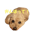 そら＆くぅ（個別スタンプ：10）