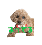 そら＆くぅ（個別スタンプ：13）